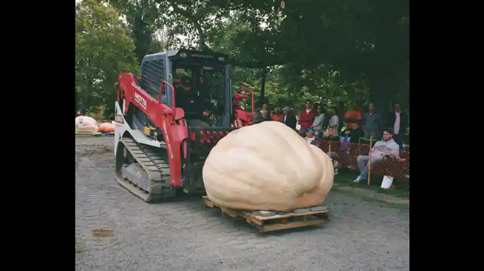 運動をする方法