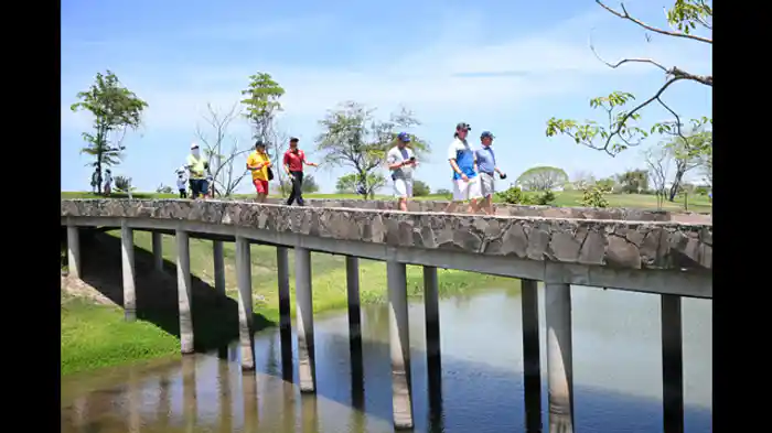 メキシコオープン