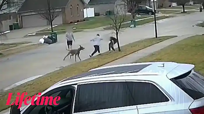 ユニークな配達