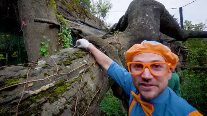 ペンギンとふれあおう