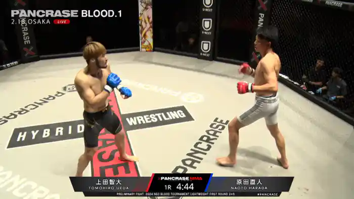 上田智大 VS.原田直人