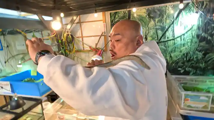 名人芸!動物とふれあいで癒やし旅