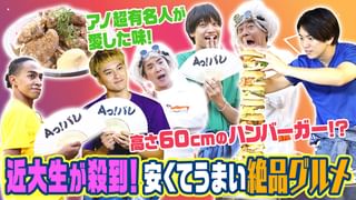 Amazonアクアフルエアロ 【公式通販】 あっくん様専用 スナグル