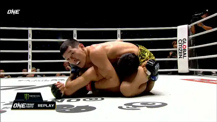 チャヤン・オールジャク vs. ババール・アリ