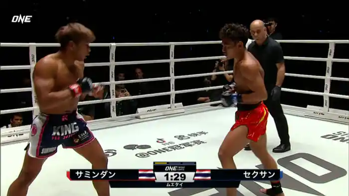 サミンダン・ルクスアン vs. セクサン・フェアテックス