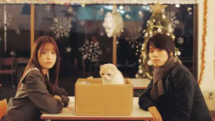 捨て猫と兄妹喧嘩