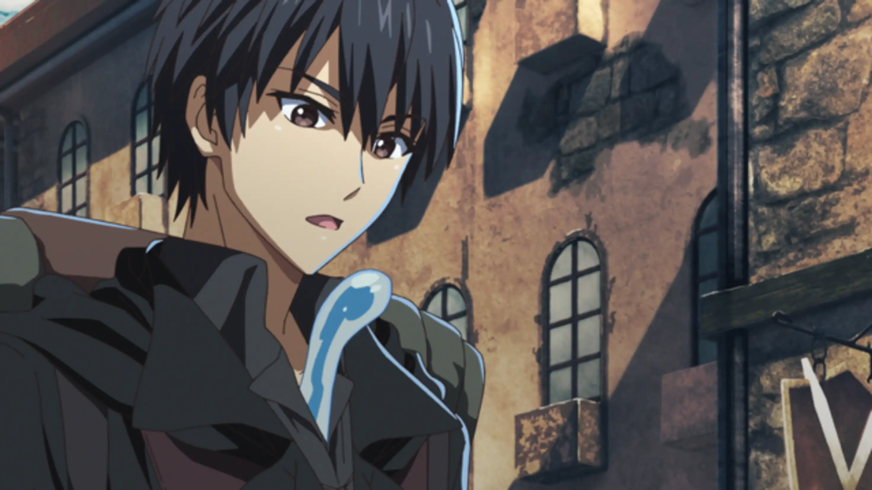 姫騎士と呼ばれた女