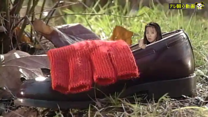 誕生日に、あげる