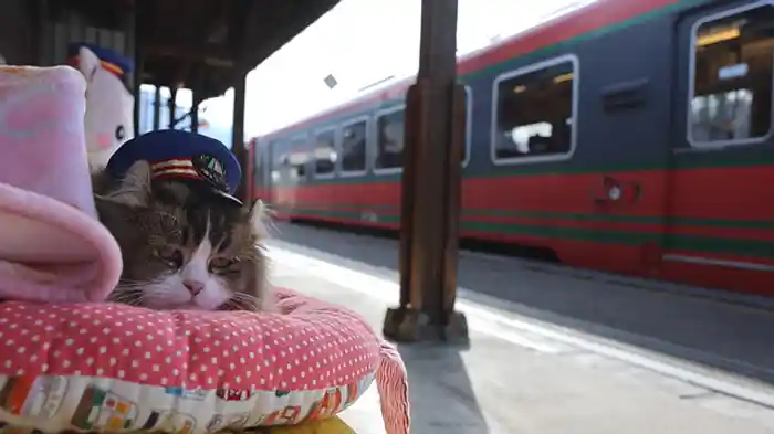 駅で働くねこだにゃ!