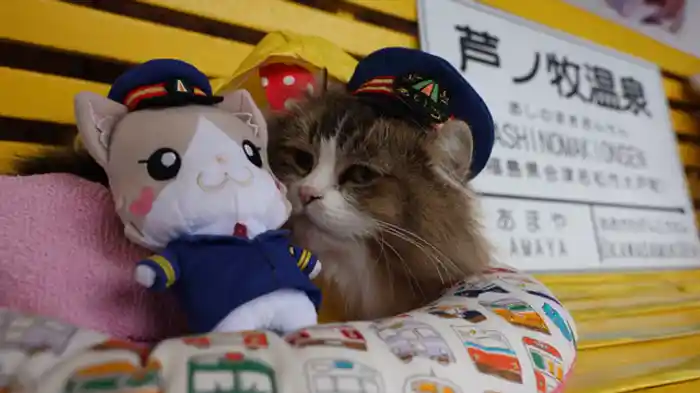 雨の日もがんばるにゃ!