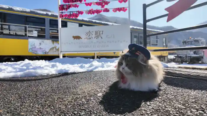 ここが芦ノ牧温泉駅だにゃ!