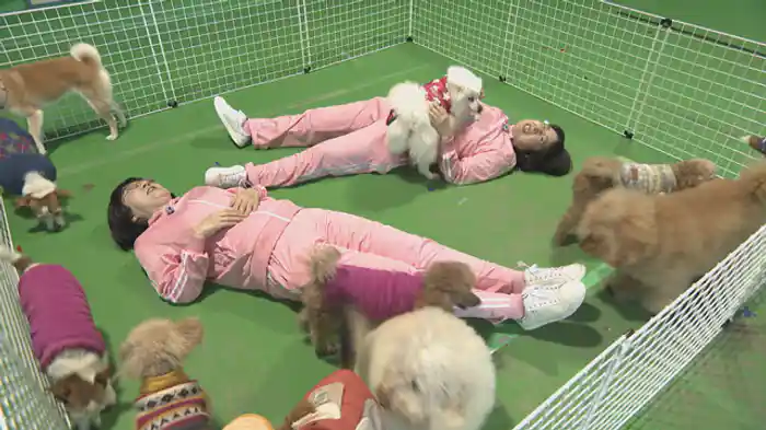 2025/5/8放送回 富士で見つけた！個性派専門店めぐり！！