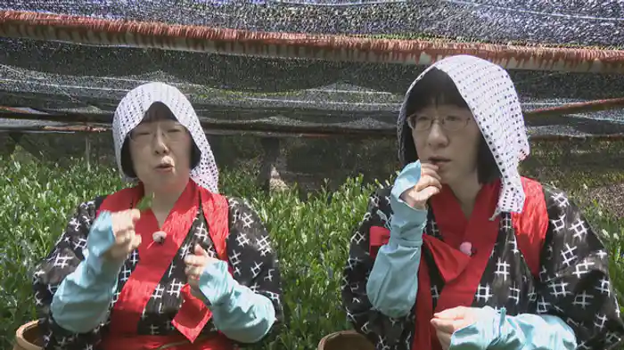 2025/6/5放送回 新茶シーズン到来！お茶をとことん味わおう！