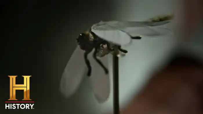 スパイ装置の変遷