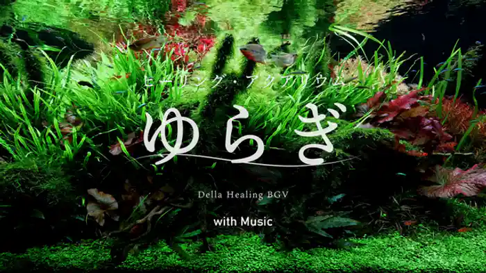 ゆらぎ(癒しの音楽Ver)