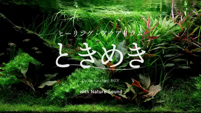 ときめき(自然音Ver)