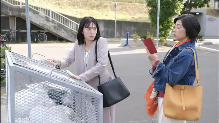 「母の想いと豚肉じゃが」