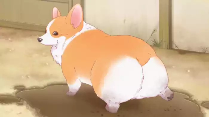 犬と留守番