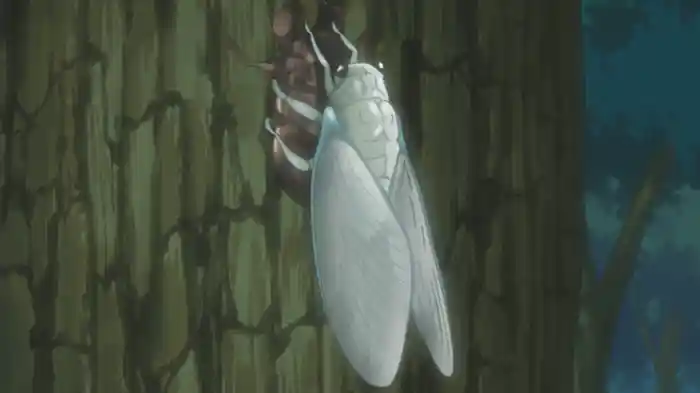 昆虫世界のサバイバル　その２