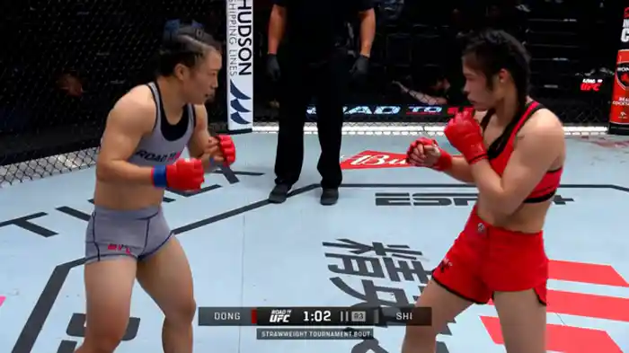 ドン・フアシャン vs. シー・ミン