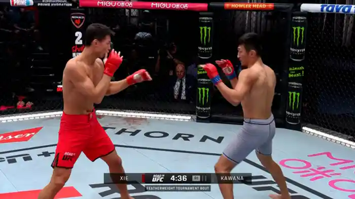 河名真寿斗 vs. シエ・ビン