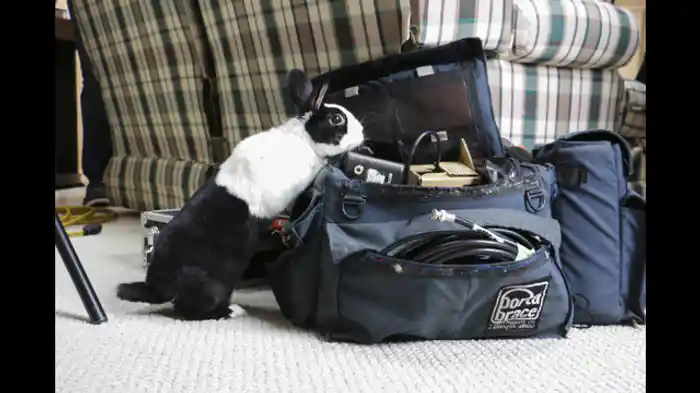 食欲旺盛なんでも食べちゃうぞ