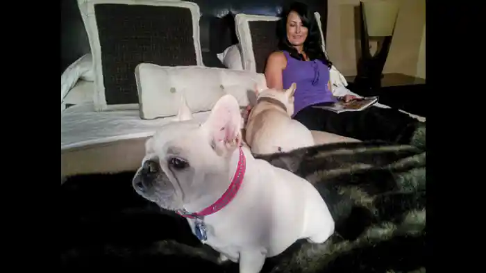 わがままし放題