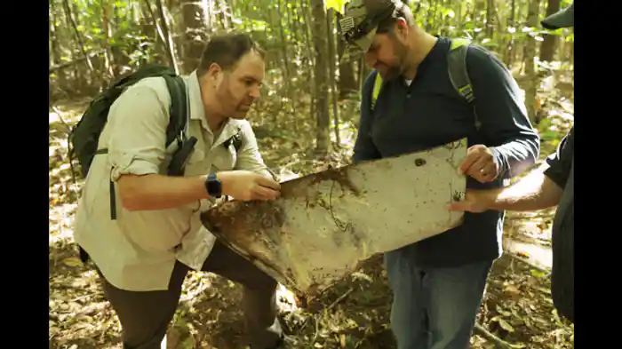 リンドバーグのライバル