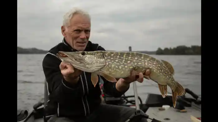 巨大ノーザンパイクを探せ