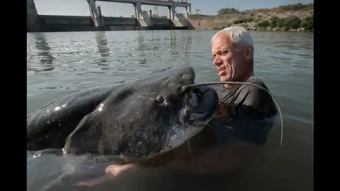 ガルダ湖 伝説の怪物
