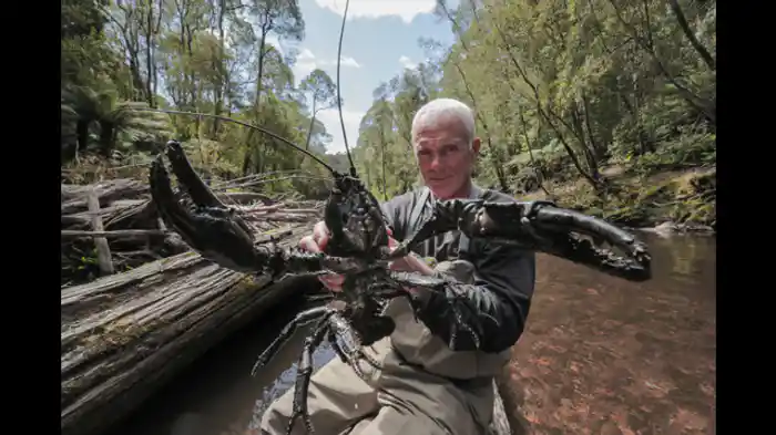 太古の川の巨大生物