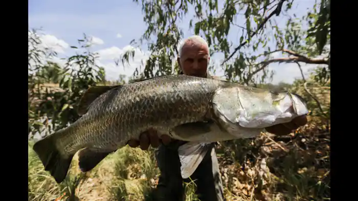 毒を持つ侵入者