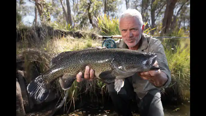 アウトバック 謎の水中生物