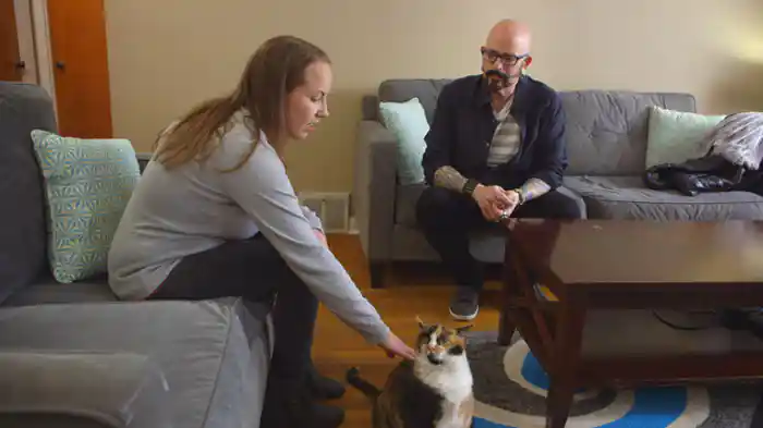 どう猛猫の悩み