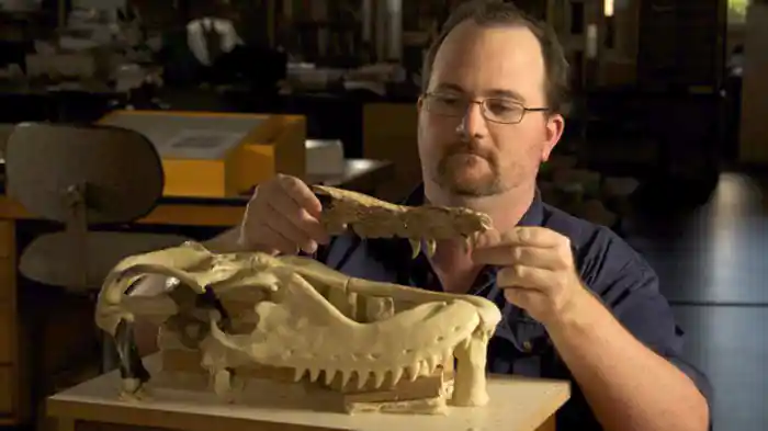 アクロカントサウルス