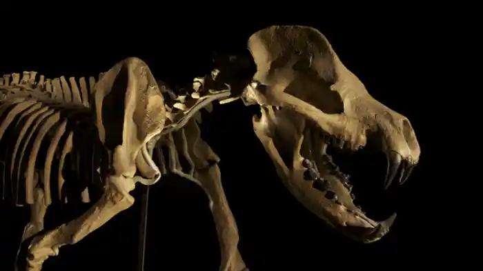 巨大トカゲ・メガラニア