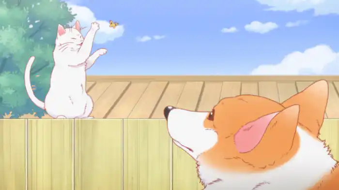 犬と留守番