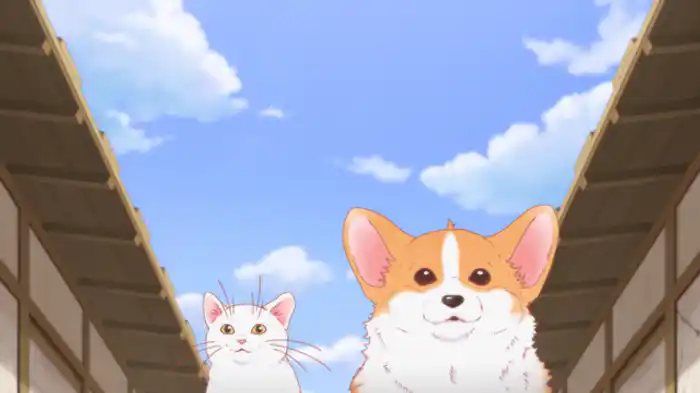 犬と留守番