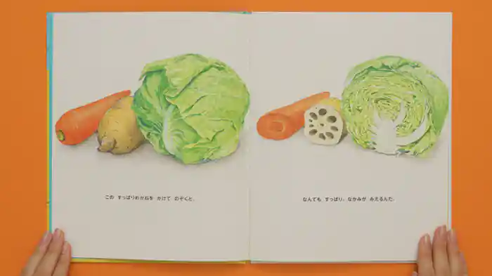 バリアフリー日本語字幕版