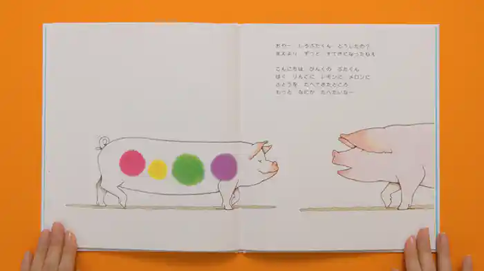 バリアフリー日本語字幕版