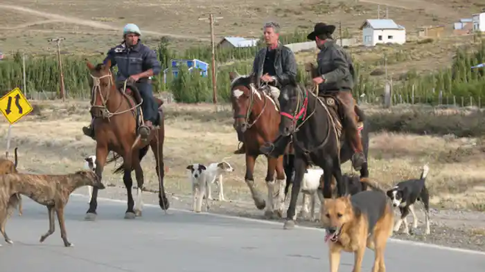アルゼンチンを喰らう
