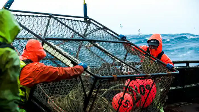 タイムマシーン