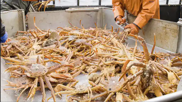 制限区域ギリギリ