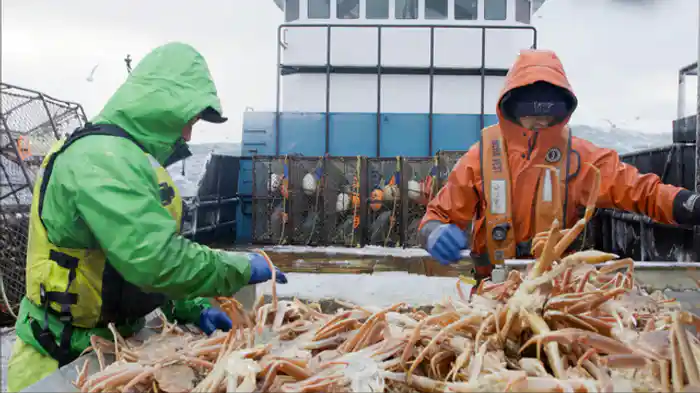 本能が示す道筋