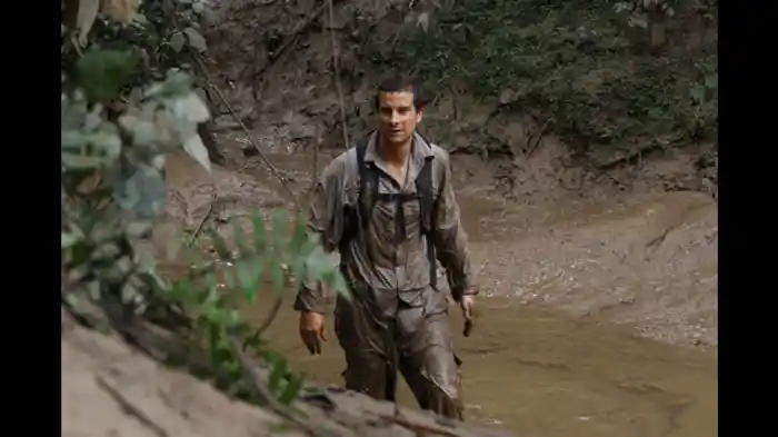 ボルネオのジャングル