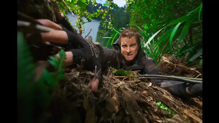 ニュージーランド北島