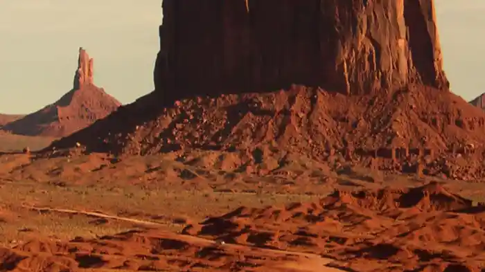 ミルフォードサウンド/セレンゲティ