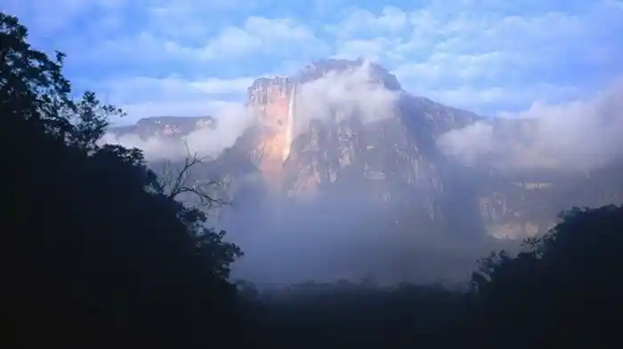 ガラパゴス諸島/マウイ島