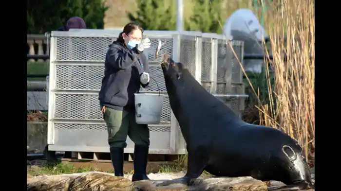 繁殖シーズン到来
