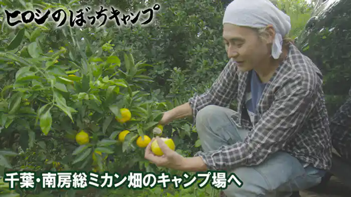 千葉・南房総ミカン畑のキャンプ場へ